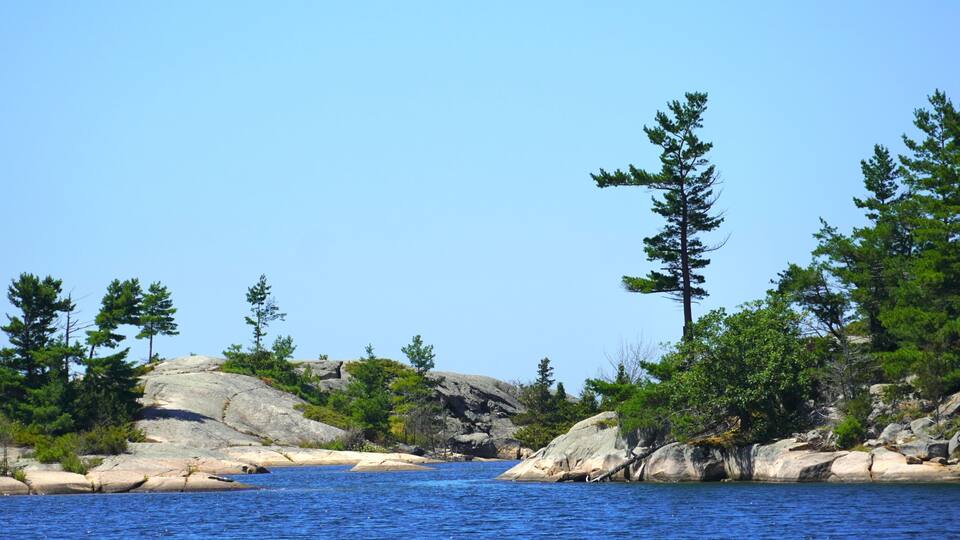 A rocky shoreline with clear blue water, surrounded by dense green trees.