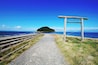 Torii Gate