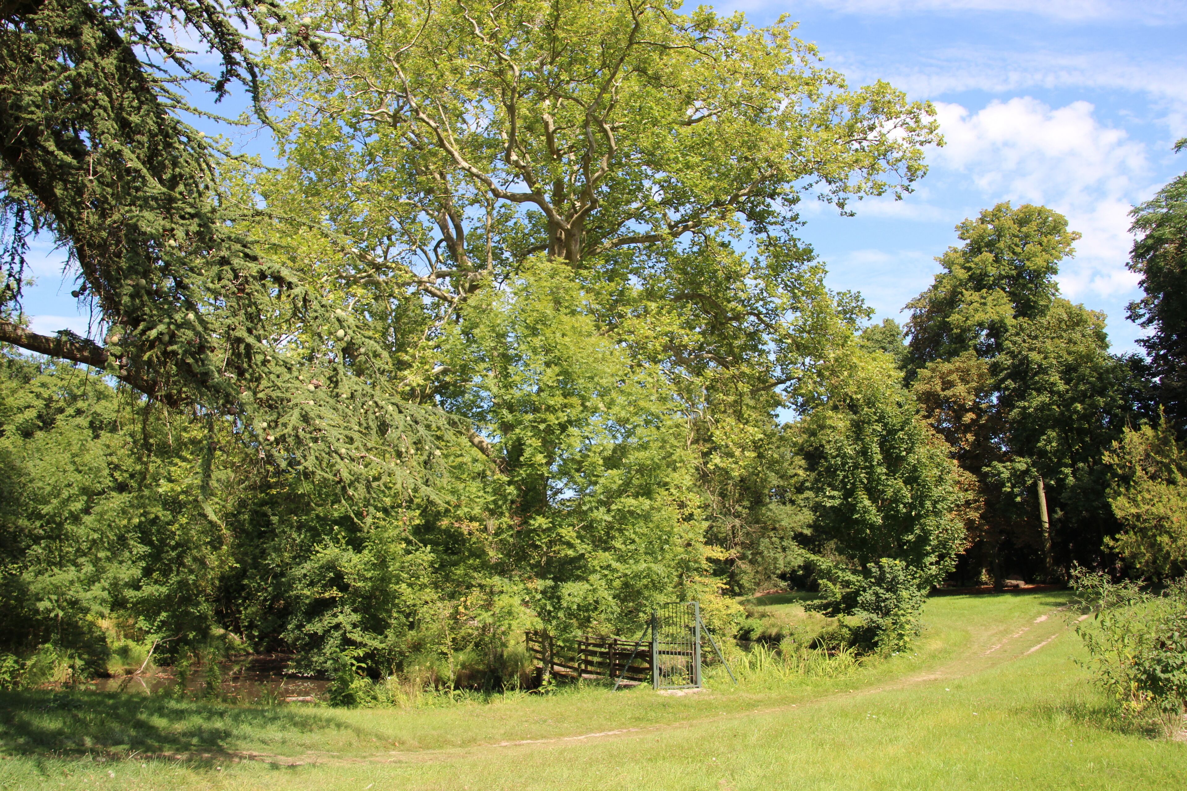 This image was uploaded as part of L'Été des villes 2015.