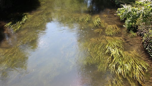 This image was uploaded as part of L'Été des villes 2015.