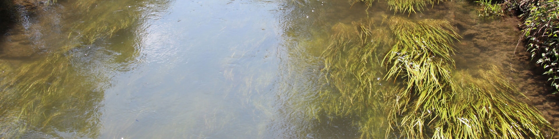 This image was uploaded as part of L'ĂtĂ© des villes 2015.