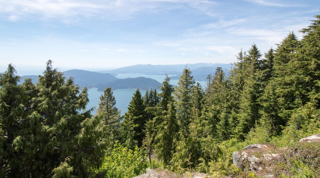 霍利本乡村俱乐部