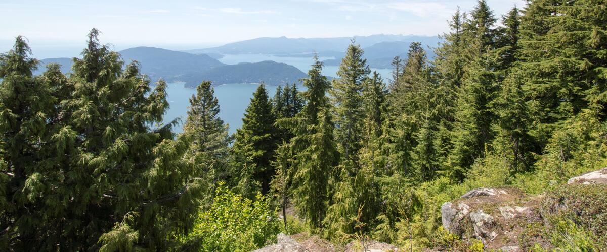 Eagle Bluff trail Cypress Vancouver