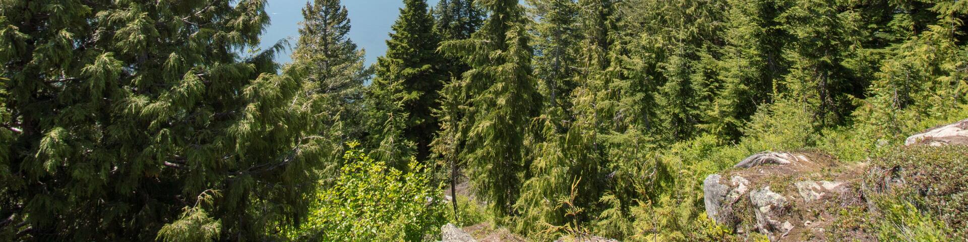 Eagle Bluff trail Cypress Vancouver