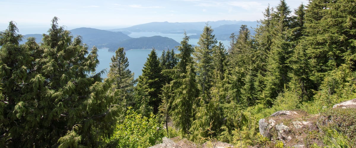 A forested mountain landscape with a lake and distant mountains.