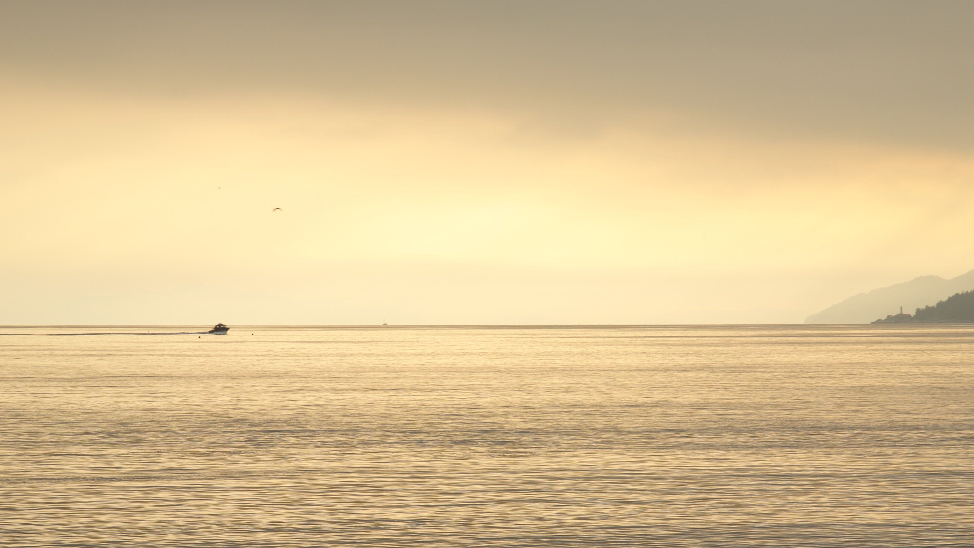 Ambleside Park featuring general coastal views, boating and a sunset