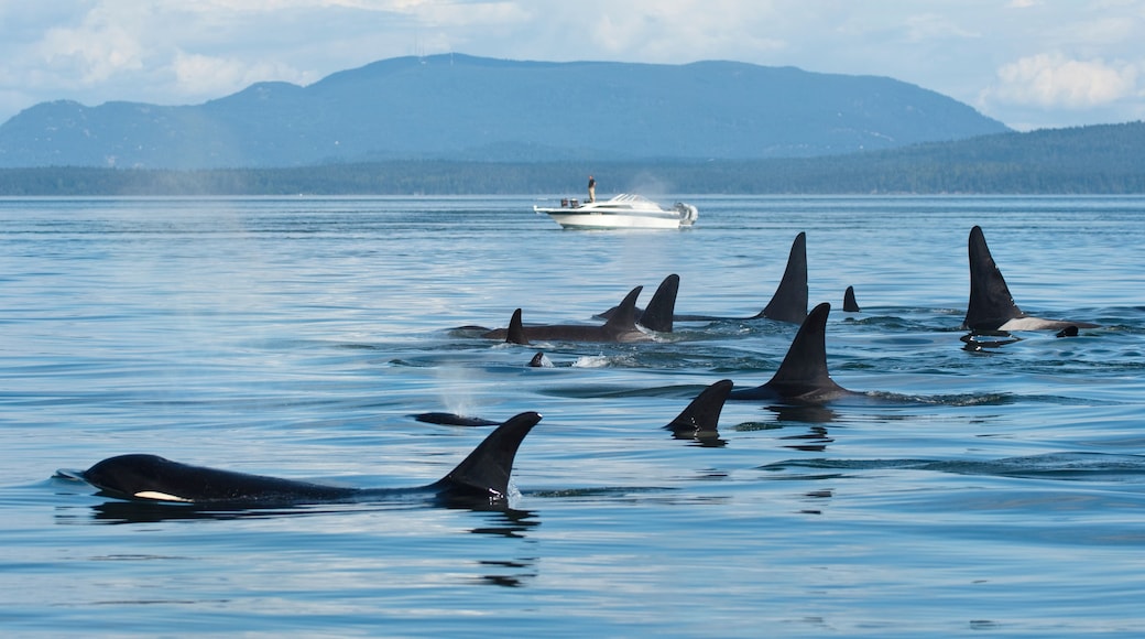 North Pender Island