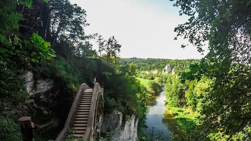 Nice view and nature