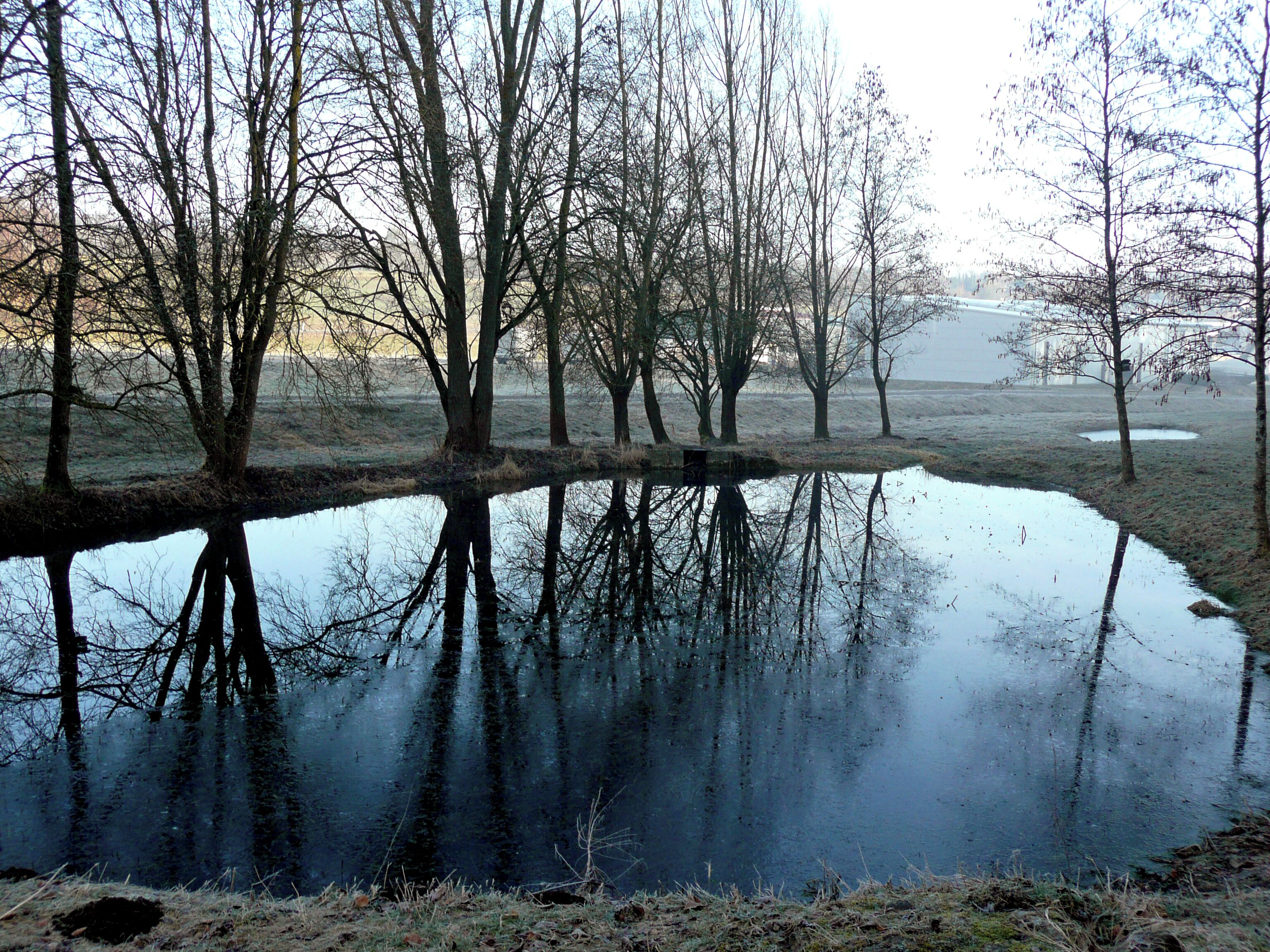 Biotop bei Gechingen (im Hintergrund: Frielitz Fahrzeugbau)