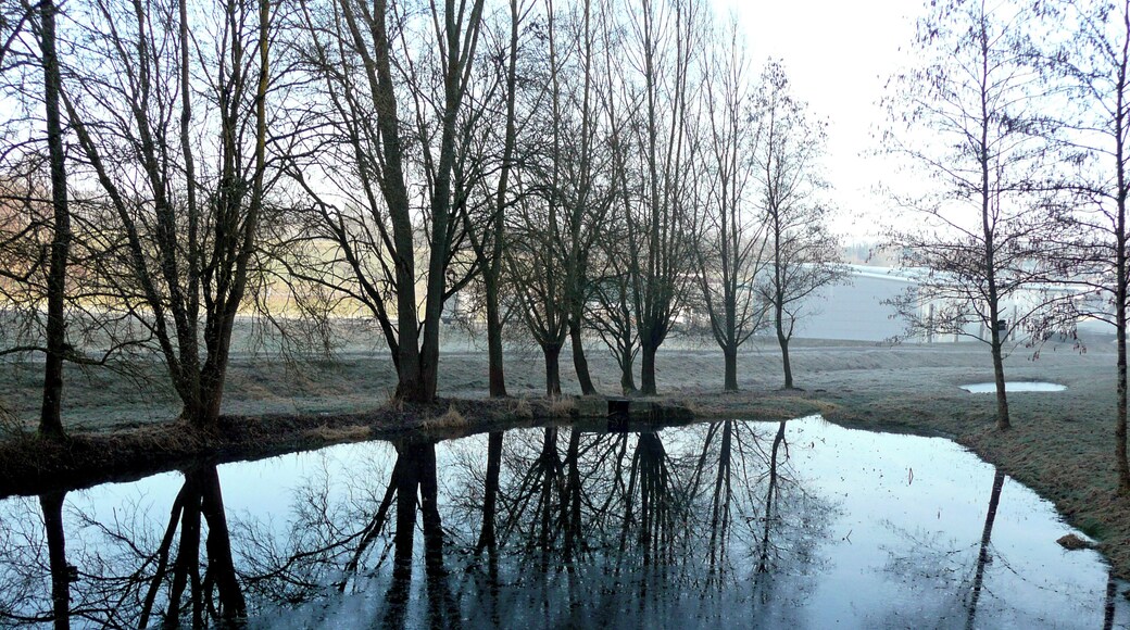 Biotop bei Gechingen (im Hintergrund: Frielitz Fahrzeugbau)