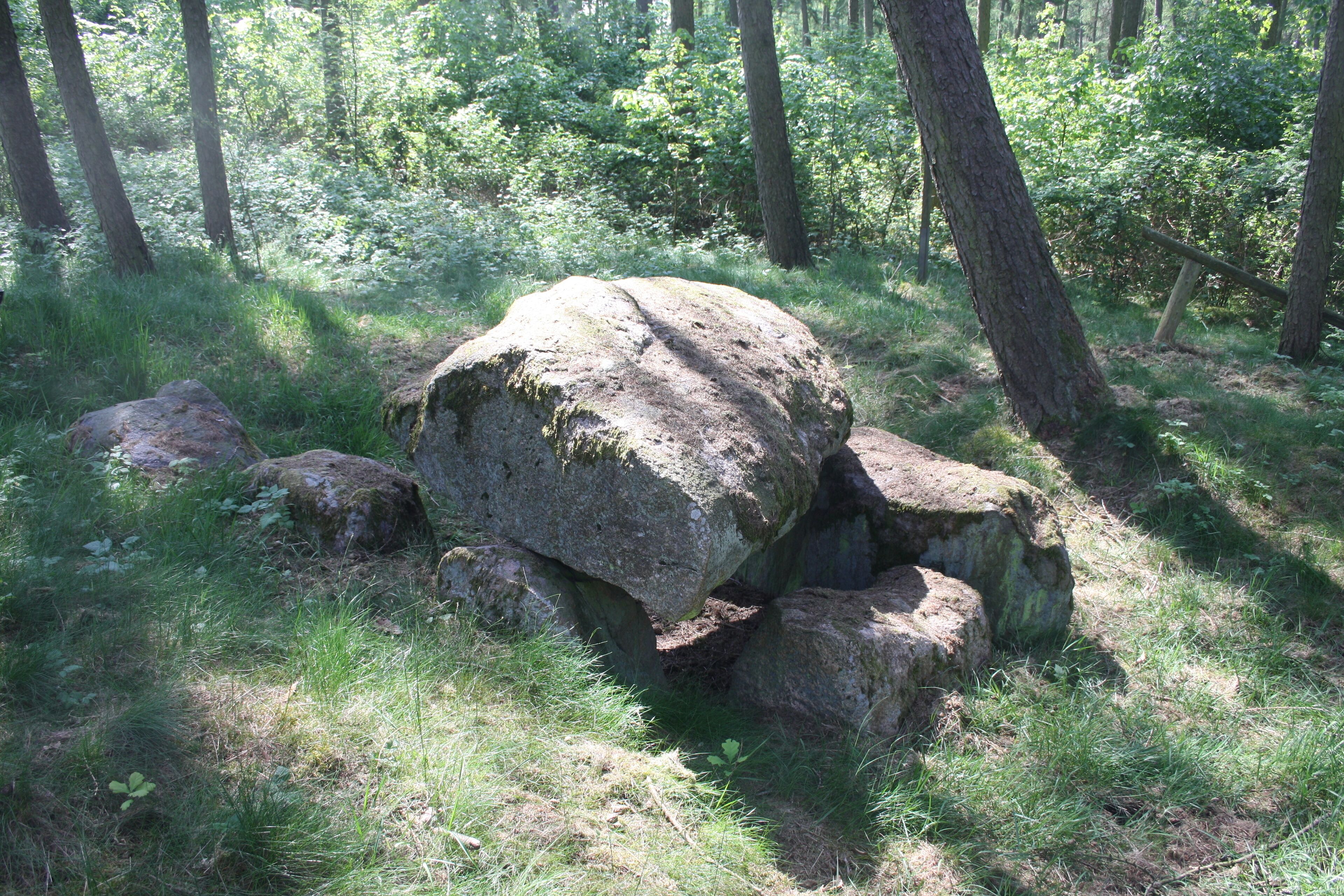 Großsteingrab Bollewick 1, auch Großsteingrab Fuchstannen Sprockhoff-Nummer 447