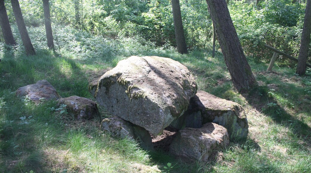 Großsteingrab Bollewick 1, auch Großsteingrab Fuchstannen Sprockhoff-Nummer 447