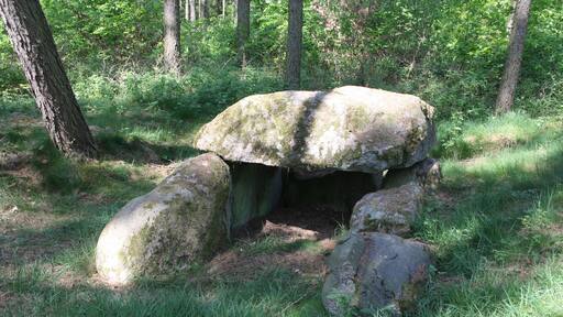 Großsteingrab Bollewick 1, auch Großsteingrab Fuchstannen Sprockhoff-Nummer 447