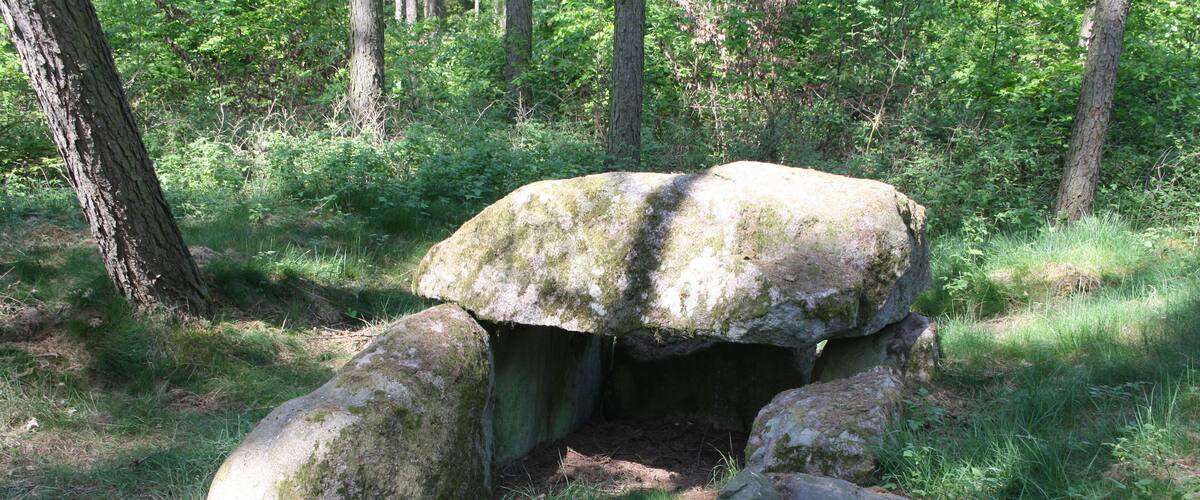 A moss-covered rock formation in a forest.