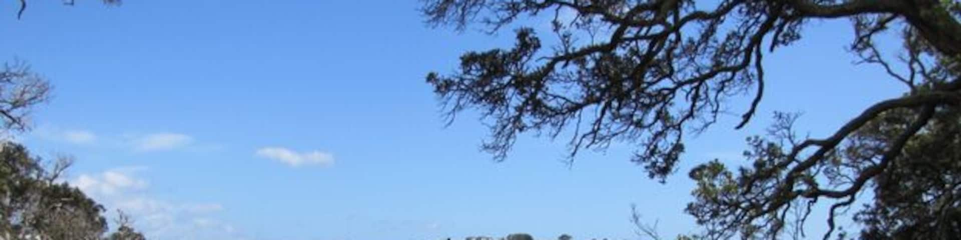 Oneora Bay near the larger town on Waiheke Island - apparently this wasn't a lot of boats being parked - it gets really busy in the summer!
