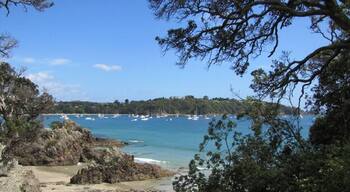Oneora Bay near the larger town on Waiheke Island - apparently this wasn't a lot of boats being parked - it gets really busy in the summer!