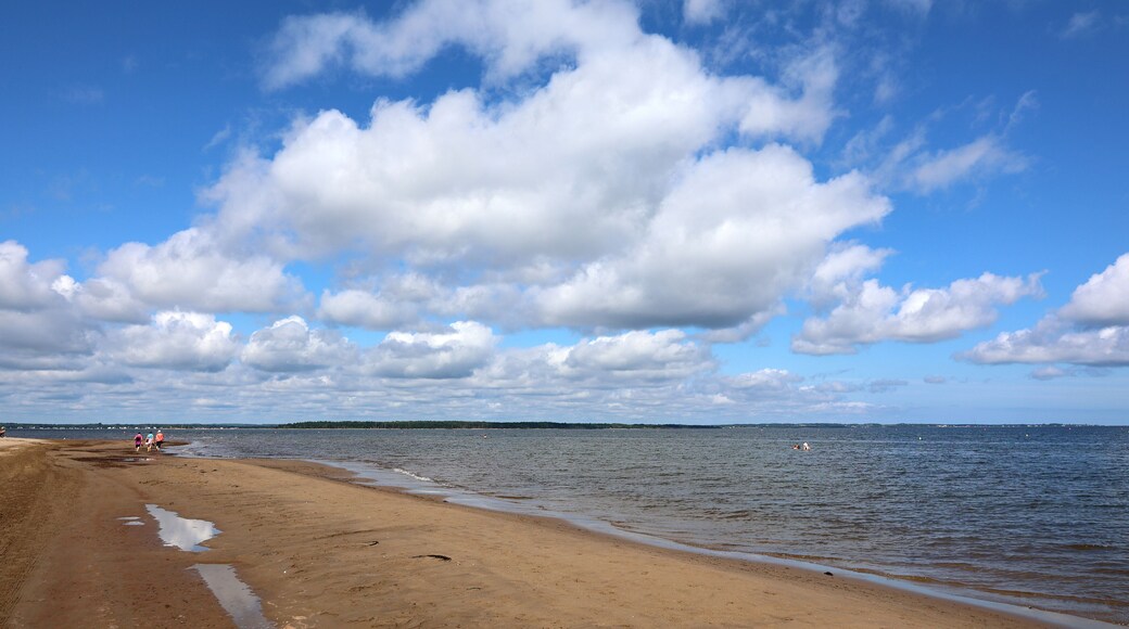Een strand met een zandstrand, een rustige zee en een gedeeltelijk bewolkte lucht.