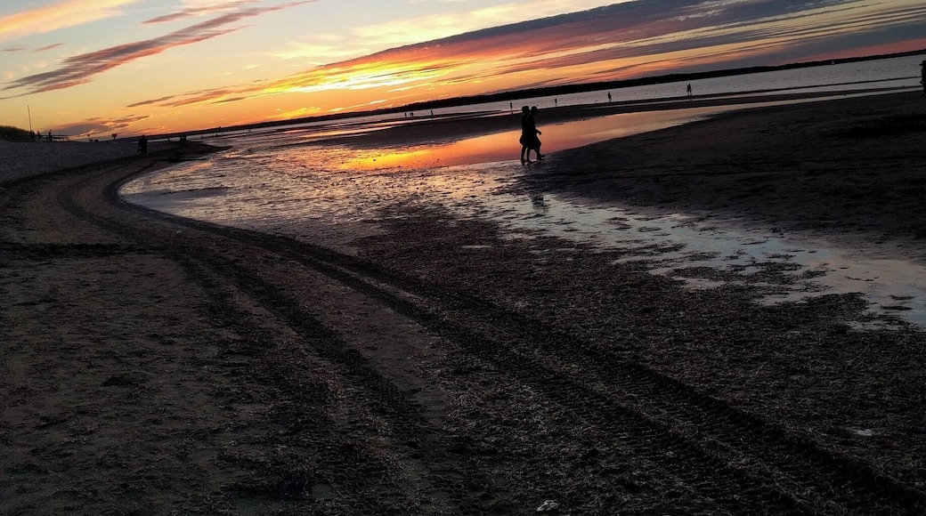 Gorgeous at sunset, soft beach with lots of wildlife