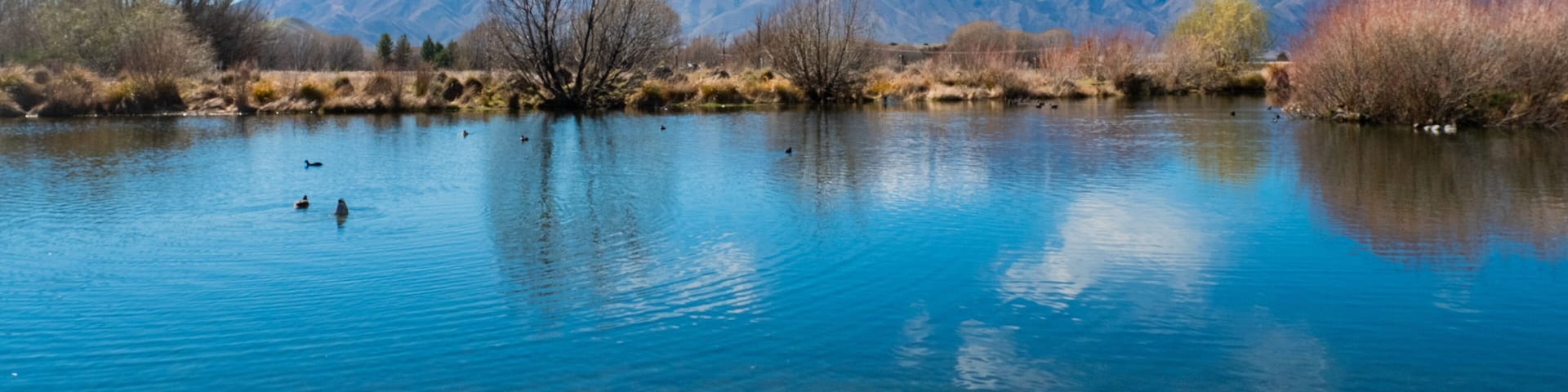 Hot Tubs Omarama featuring a pond