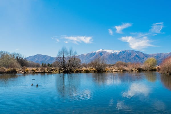 Hot Tubs Omarama featuring a pond
