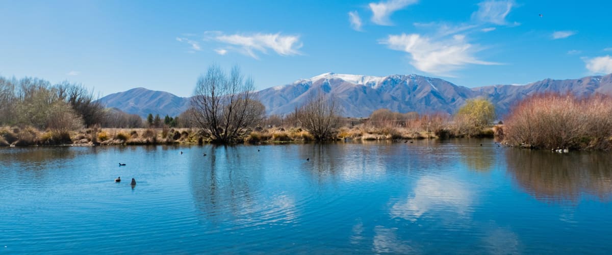 A calm lake with ducks, surrounded by mountains and trees.
