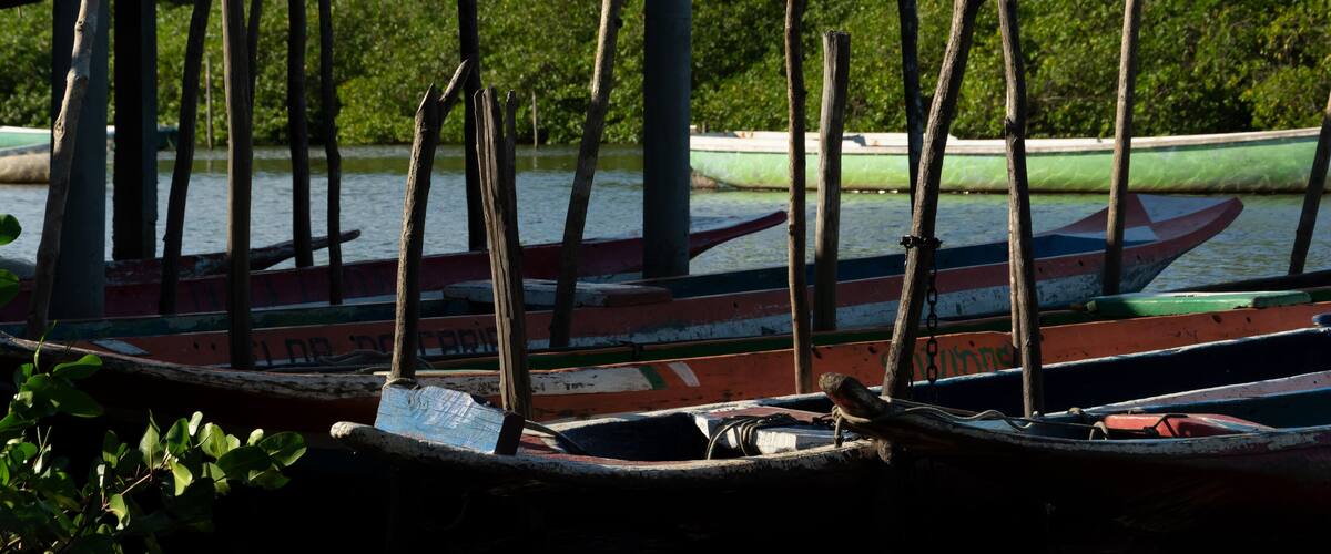A row of traditional boats docked at a pier with a forested background.