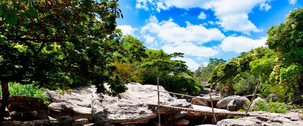 A rocky stream with a wooden bridge and lush greenery.