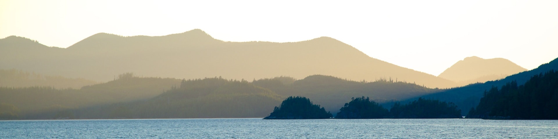 Parque provincial Clayquot Arm que incluye niebla, montañas y vistas de una costa