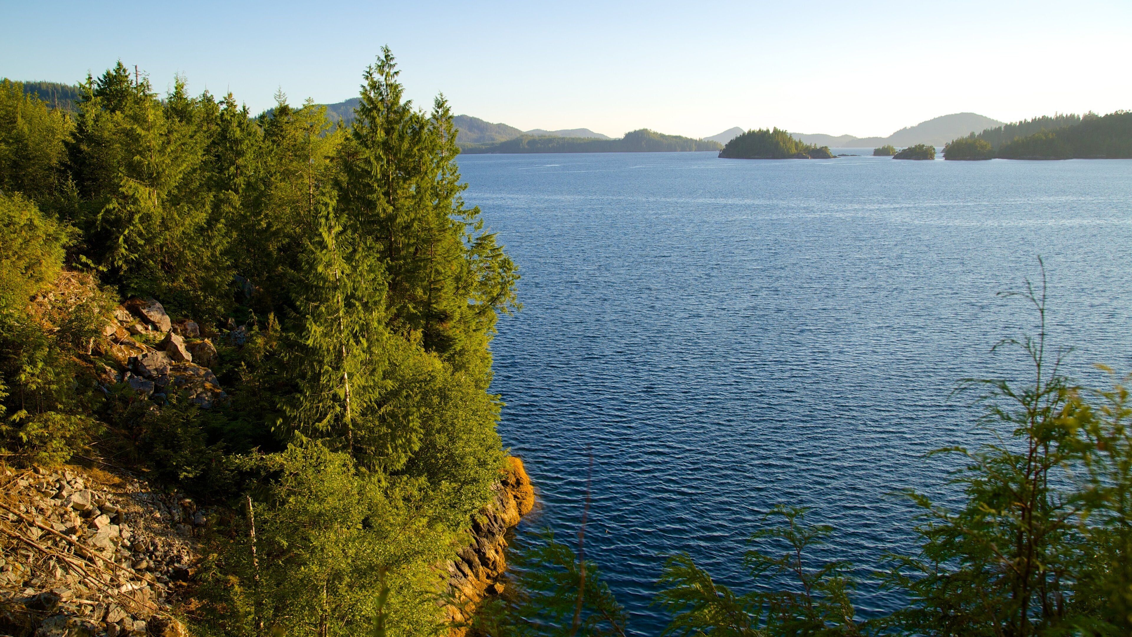 Clayquot Arm Provincial Park which includes landscape views, a lake or waterhole and forests