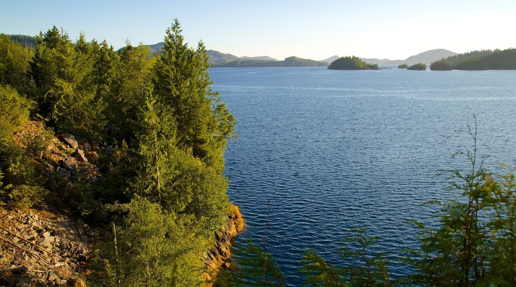 Clayquot Arm Provincial Park which includes landscape views, a lake or waterhole and forests