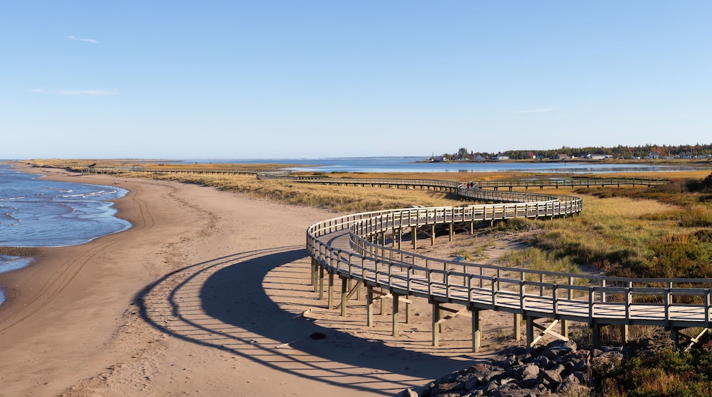 Panoramic view of a beautiful sandy beach on the Atlantic Ocean Coast. Taken in La Dune de Bouctouche, New Brunswick, Canada.