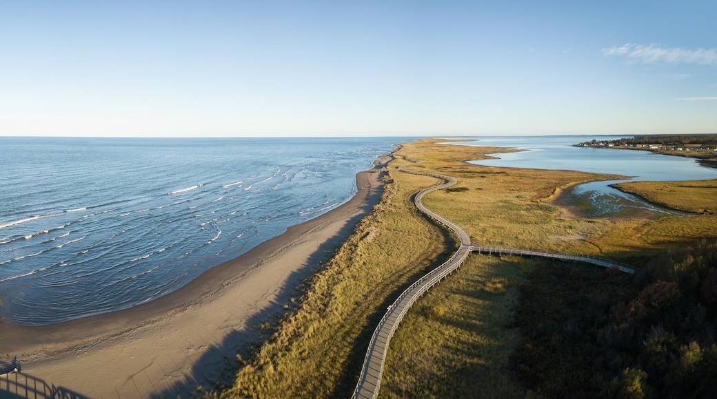 Aerial panoramic view of a beautiful sandy beach on the Atlantic Ocean Coast. Taken in La Dune de Bouctouche, New Brunswick, Canada.