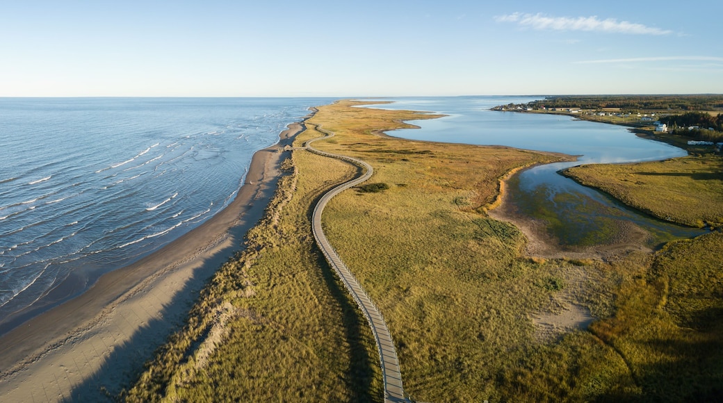 Aerial panoramic view of a beautiful sandy beach on the Atlantic Ocean Coast. Taken in La Dune de Bouctouche, New Brunswick, Canada.