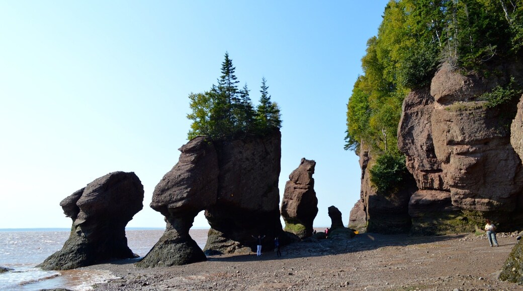 World biggest tides at Hopewell Rocks, New Brunswick, Canada 🇨🇦