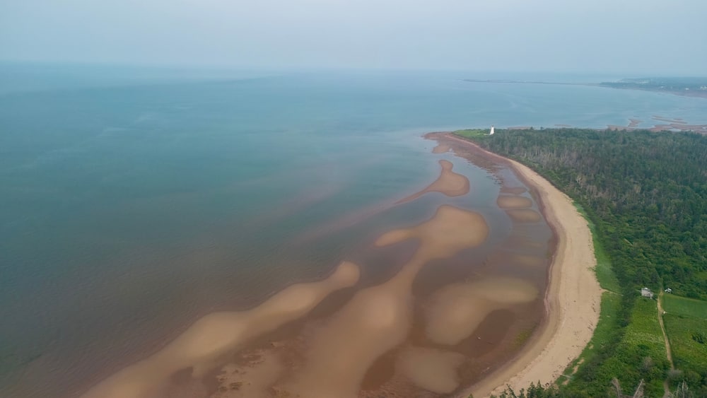 A coastal landscape with a sandy beach, a forested area, and a lighthouse in the distance.