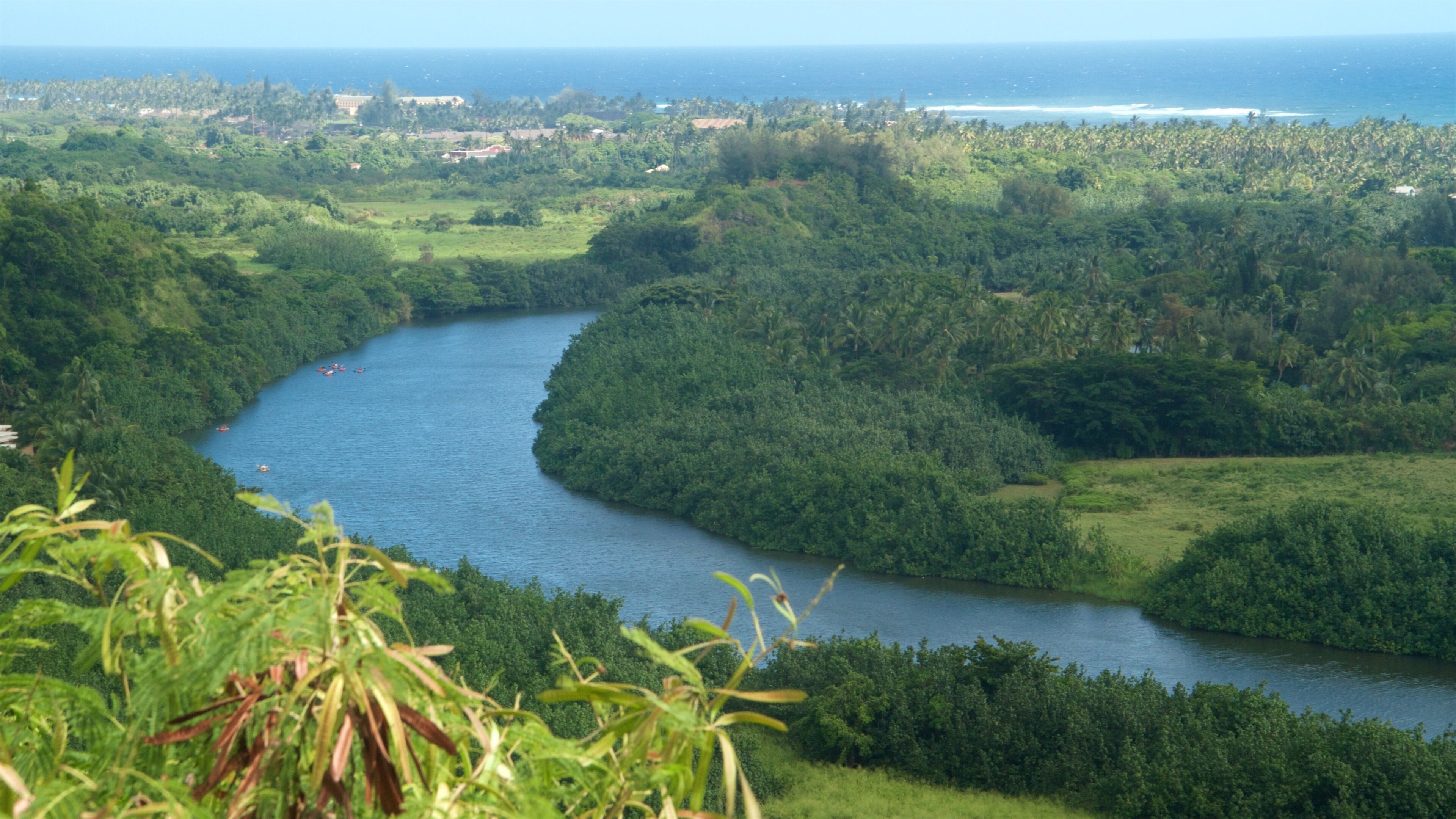 Wailua River State Park showing tranquil scenes, landscape views and a river or creek