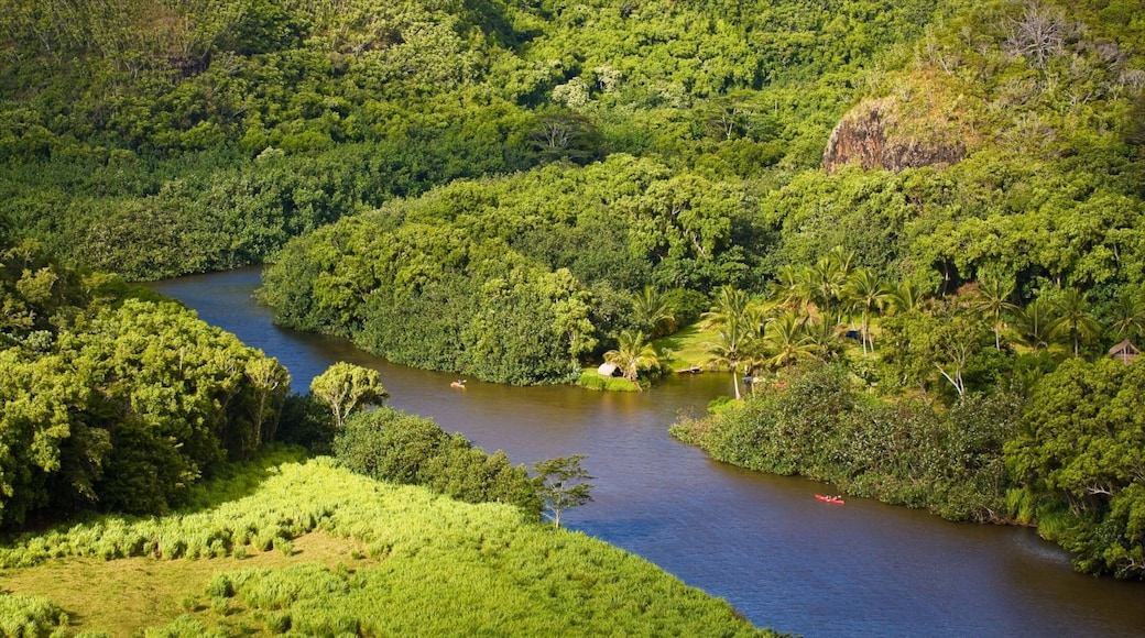 Wailua River State Park featuring forests and a river or creek