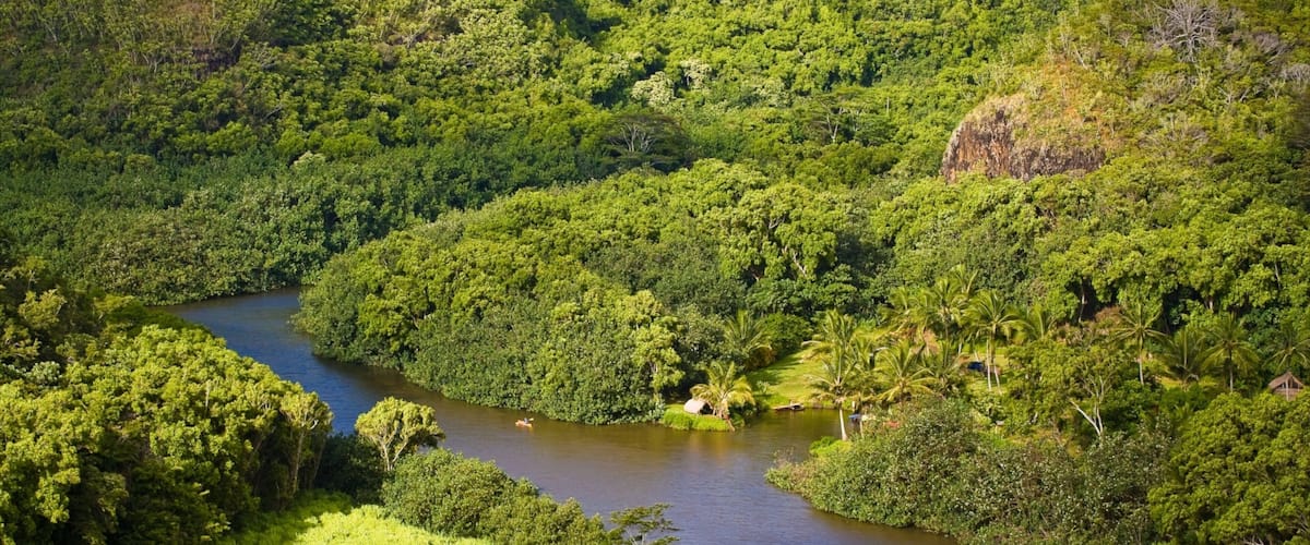 Wailua River delstatspark fasiliteter samt skog og elv eller bekk
