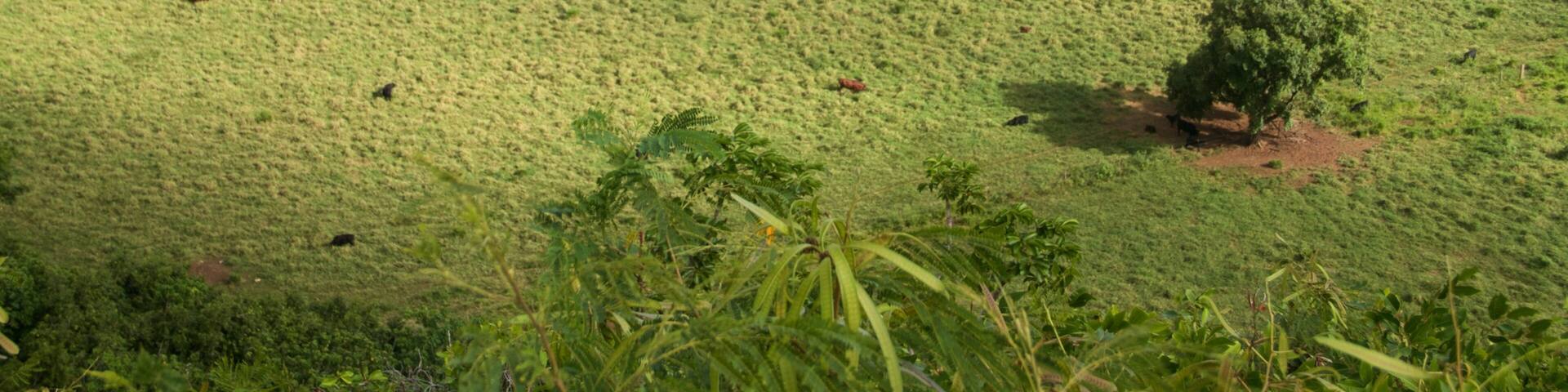 Parc d\'État Wailua River