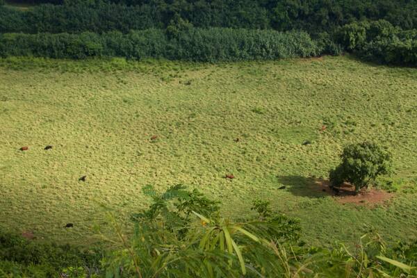 Parc d\'État Wailua River