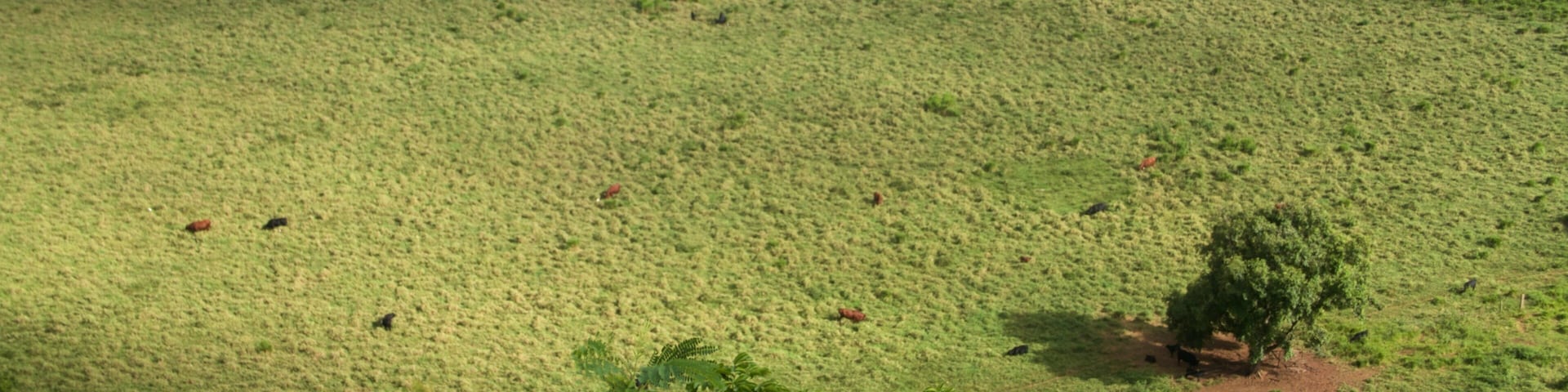 Wailua River State Park