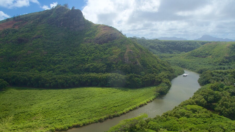 Wailua River State Park featuring mountains, a river or creek and forest scenes