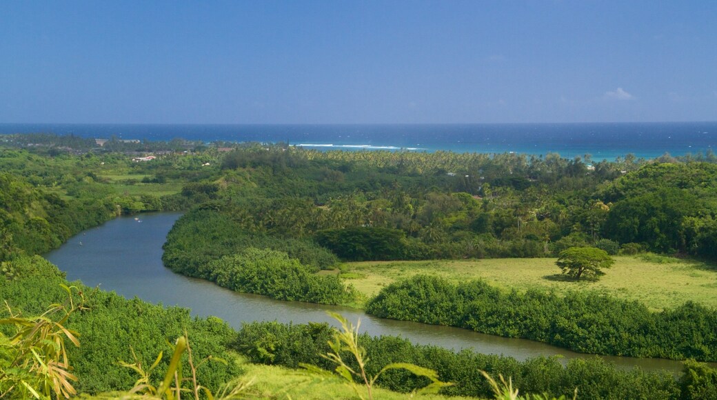 Wailua River State Park featuring a river or creek and general coastal views