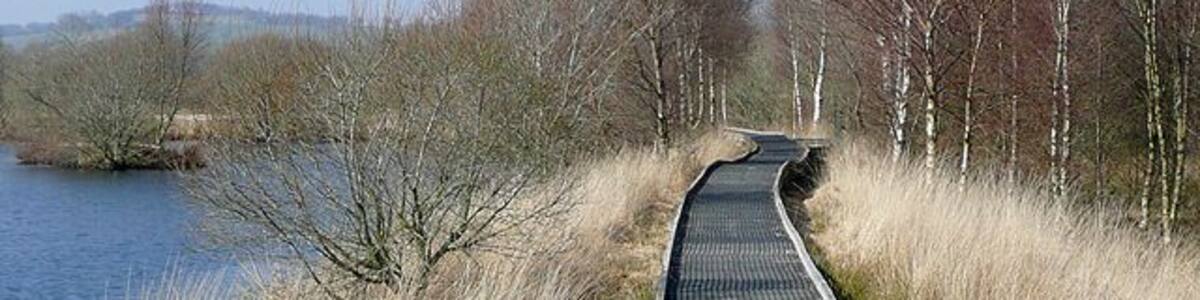 Boardwalk through the Bog of Tregaron, Ceredigion This excellent boardwalk allows access well into the bog with many good places to stop and observe the wildlife and vegetation of this site. Cors Caron is a raised bog system. The bog covers more than 800 acres (325 hectares). It is 6km in length and provides a habitat for a wide range of wildlife and plants. The bog itself was formed 12,000 years ago when the last of the Ice Age glaciers melted away. A large shallow lake was left, which very gradually filled with sediments and vegetation, forming peat and later, acid peat. For centuries, local people would go and cut this peat from the bog to burn on the hearth. In 1955, Cors Caron was declared a National Nature Reserve in order to preserve this increasingly scarce land form. In 1993, Cors Caron was placed on a list of wetland sites of international importance under the terms of the Ramser Convention. The bog is now managed by the Countryside Council for Wales. There are several good websites to see, this one being concise but informative: http://www.bbc.co.uk/wales/mid/sites/reserves/pages/cors_caron.shtml