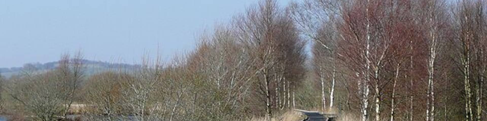 Boardwalk through the Bog of Tregaron, Ceredigion This excellent boardwalk allows access well into the bog with many good places to stop and observe the wildlife and vegetation of this site. Cors Caron is a raised bog system. The bog covers more than 800 acres (325 hectares). It is 6km in length and provides a habitat for a wide range of wildlife and plants. The bog itself was formed 12,000 years ago when the last of the Ice Age glaciers melted away. A large shallow lake was left, which very gradually filled with sediments and vegetation, forming peat and later, acid peat. For centuries, local people would go and cut this peat from the bog to burn on the hearth. In 1955, Cors Caron was declared a National Nature Reserve in order to preserve this increasingly scarce land form. In 1993, Cors Caron was placed on a list of wetland sites of international importance under the terms of the Ramser Convention. The bog is now managed by the Countryside Council for Wales. There are several good websites to see, this one being concise but informative: http://www.bbc.co.uk/wales/mid/sites/reserves/pages/cors_caron.shtml