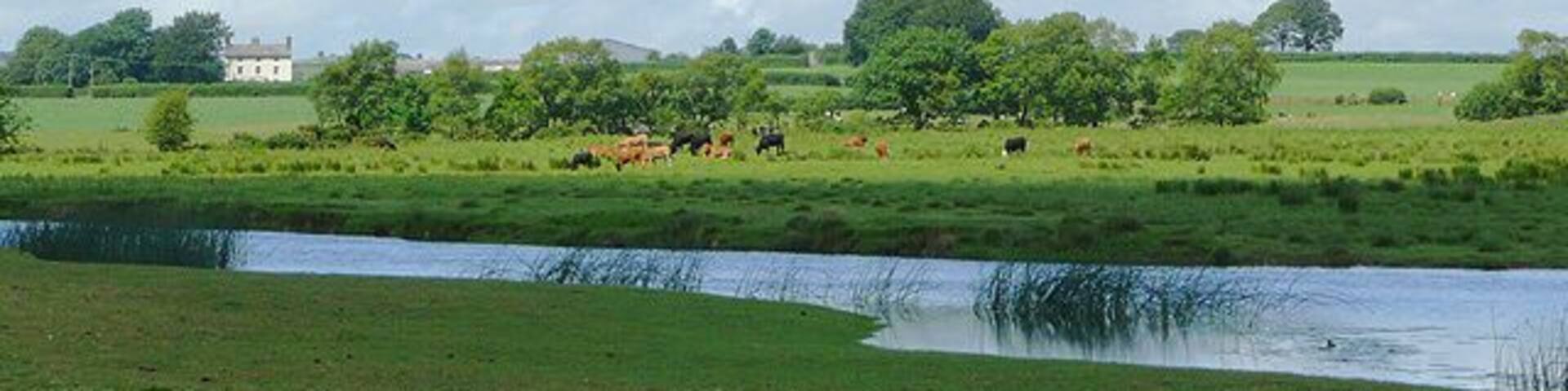 A rural landscape with a river, green fields, trees, and a white building in the distance.