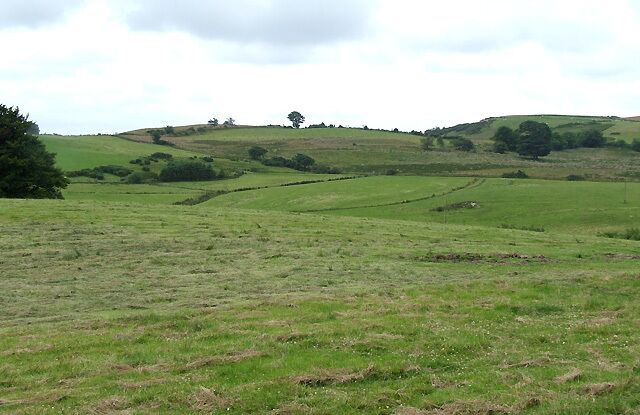 Farmland north of Bwlch-Llan, Ceredigion The (apparently) missing strip of conifers is in a dip two hundred metres forwards.