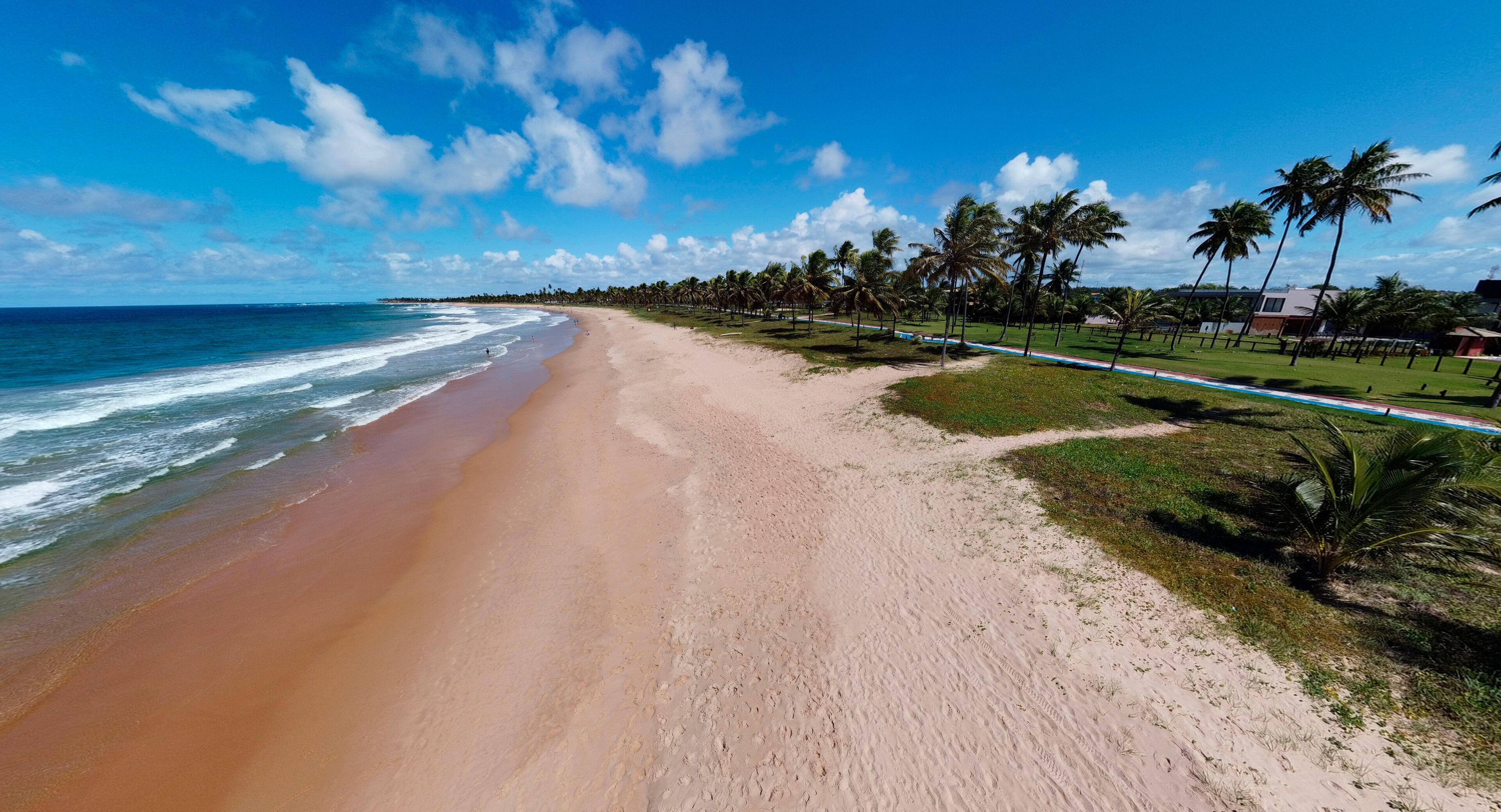 A beach with a sandy shore, palm trees, and a clear blue sky.