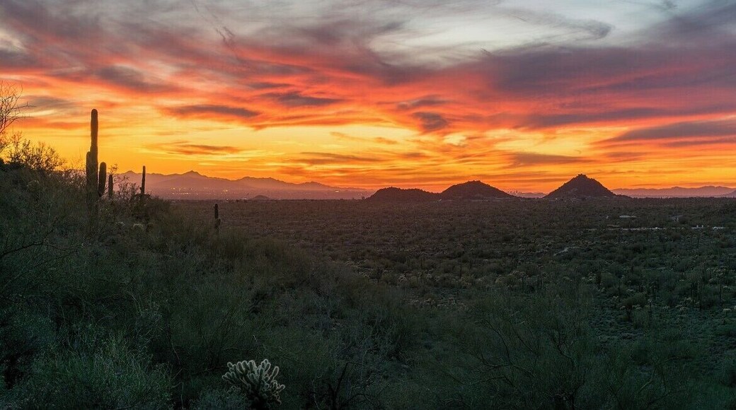 Classic desert pictures with cactus and mountains. Great sunrises and sunsets