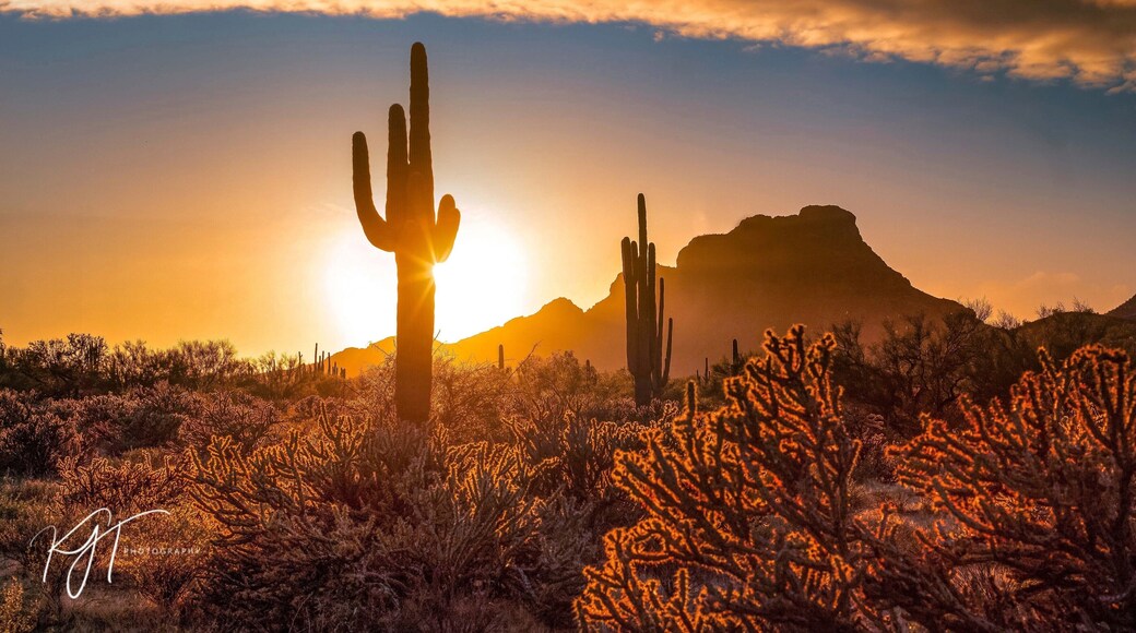 You know, just another amazing sunset in the desert.
